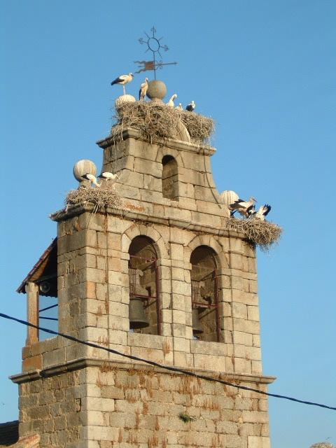 Las cigüeñas de la torre